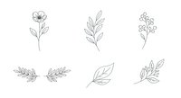 Botanical line art illustrations featuring hand-drawn flowers, leaves and foliage elements isolated on white background, suitable for design projects, invitations and branding materials.