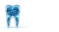 Tooth cross-section showing internal anatomy with blue neural pathways and pulp chamber structure on white background, suitable for dental education and healthcare design.