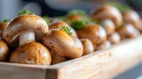 Fresh brown champignon mushrooms arranged in wooden box, macro food photography with selective focus and natural lighting for menu design.