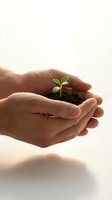 Protective hands cupping small green seedling growing from dark soil against soft light background symbolizing care, growth and environmental protection.