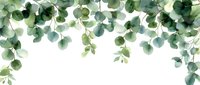 Fresh eucalyptus leaves and branches create natural border frame on white background, watercolor style botanical arrangement for wedding invitations and decor.