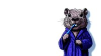 Anthropomorphic hamster in blue bathrobe brushing teeth against white background, humorous character illustration for hygiene and morning routine concepts.