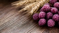 Fresh ripe raspberries and golden wheat ears on rustic wooden background with copy space. Natural food composition for healthy eating concept.