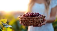 Young woman in white dress holding wicker basket full of fresh red cherries during golden hour sunset in orchard for healthy eating and harvest concepts.