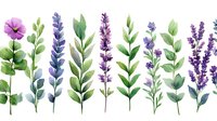 Watercolor floral arrangement with purple lavender stems and pink wildflowers on white background, botanical herbs and greenery pattern for stationery design.