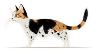 Spotted calico cat with distinctive black and orange markings on white fur, side view illustration on white background, isolated design element for creative projects.