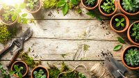 Gardening tools and potted plants arranged on wooden surface with soil and green foliage, overhead view for gardening, landscaping and botanical projects.