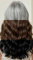 Hair color transformation showing three distinct shades from gray to brown to black in horizontal sections with wavy texture for salon services.