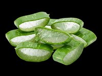 Fresh aloe vera slices isolated on transparent background, ready for t-shirt design, stickers, clipart, print on demand, and sublimation projects.