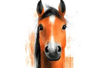 Expressive bay horse portrait with black mane against orange watercolor splash background, artistic style illustration for wall art and greeting cards.