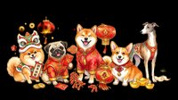 Festive Asian dogs and animals in red and gold traditional clothing and decorations isolated on transparent background, ready for t-shirt design, clipart, stickers, print-on-demand products and sublimation projects.
