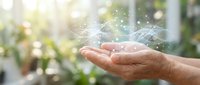 Open palm holding glowing digital network connections with light rays in blurred green garden background for technology and innovation concepts.