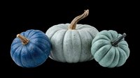 Three blue-green decorative pumpkins isolated on transparent background, ready for fall clipart, stickers, t-shirt design, sublimation, and print on demand projects.