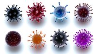 Colorful virus cell models showing detailed molecular structure with spikes and protein elements on white background, medical science illustration.