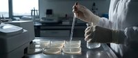 Laboratory scientist in white coat using pipette to transfer samples into petri dishes for microbiological research and testing in modern lab facility.