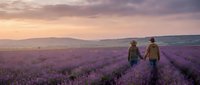 Two hikers in yellow jackets walk through expansive lavender fields at sunset, surrounded by rolling hills and purple blooms stretching to the horizon.