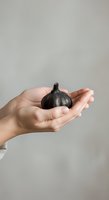 Hand holding single black garlic clove against neutral background, suitable for food, nutrition, health, and culinary design projects.