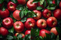 Fresh red apples with water drops and green leaves scattered on dark background, top view composition showing natural organic produce for healthy eating.