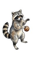 Playful raccoon standing upright holding wooden basket, isolated on white background. Charming wildlife character suitable for children's books, apparel design, and educational materials.