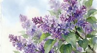 Watercolor painting of blooming purple lilac flowers with green leaves on soft background for spring decor and botanical art projects.