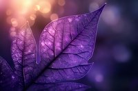 Purple leaf with detailed veins and texture captured in macro photography against dark blurred background with soft bokeh lights creating magical nature atmosphere.