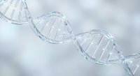 DNA double helix structure with transparent molecular bonds on soft gradient background for scientific research and biotechnology applications.