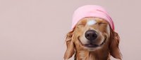 Smiling dachshund dog wearing pink sleeping mask and cap against neutral background, expressing joy and relaxation in humorous wellness concept.