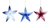 Watercolor star flowers in blue and pink tones on white background, isolated botanical elements for greeting cards and festive designs.