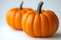 Fresh orange pumpkins on white background with selective focus, natural lighting creates soft shadows. Seasonal harvest produce for autumn decor.