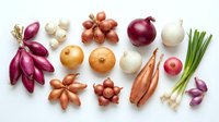 Fresh organic onion varieties collection featuring red, white, yellow bulbs and green scallions arranged on white background for cooking and culinary use.