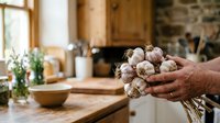 Farmer holding fresh garlic bulbs in rustic kitchen with wooden countertops and natural light, suitable for cooking, agriculture, and food photography projects.
