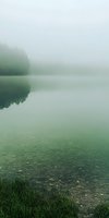 Serene misty lake with crystal clear water revealing stones beneath surface, green grass on shore and foggy forest silhouette reflecting in still water. Perfect for nature themes.