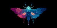 Mystical moth silhouette with cosmic gradient colors of blue and pink against black background, featuring antlers and dripping paint effect.