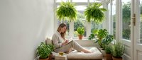 Young woman reading book in bright sunroom surrounded by lush green plants and natural light creating peaceful indoor garden atmosphere for relaxation.