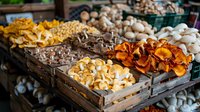 Fresh assorted mushrooms in wooden crates at farmers market, including chanterelles, oyster, and button varieties displayed for retail sale. Food background.