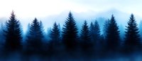 Silhouettes of pine trees in misty blue forest landscape at dawn, foggy mountain panorama with evergreen trees creating moody atmospheric scene.