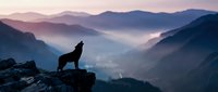 Wolf silhouette howling on mountain peak at dawn with misty valleys and layered mountain ranges in soft purple and pink light for wilderness adventure concepts.