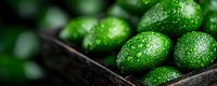 Fresh ripe avocados with water drops in wooden box, dark rustic background. Macro food photography with selective focus and natural light.