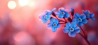 Small blue forget-me-not flowers blooming on branch with soft pink bokeh background and warm sunlight creating dreamy spring garden atmosphere.