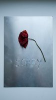 Dried red poppy with bent stem on metallic surface with word Sorry scratched into it, expressing regret and apology.