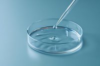 Clear liquid droplet falling from pipette into glass petri dish creating ripple effect on blue background, laboratory research concept for science and medicine.