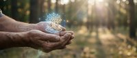 Elderly hands gently holding glowing digital tree symbol in sunlit forest, representing environmental protection, sustainability and nature conservation concept.