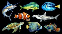 Colorful ocean fish and sea turtle clipart set, isolated on transparent background. Includes marlin, clownfish, shark, and more. Great for t-shirt design, stickers, print on demand.