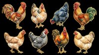 Rooster and hen collection isolated on transparent background, ready for t-shirt design, clipart, stickers, print-on-demand products and sublimation projects.