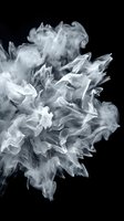 White smoke explosion burst on dark black background, dynamic swirling cloud with dramatic texture for creative design use.