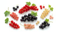 Assorted fresh currants including red, black, and white varieties with green leaves arranged on white background, suitable for food photography, culinary design, and healthy eating content.
