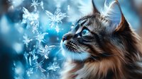 Majestic long-haired cat with bright blue eyes gazing upward at falling snowflakes against winter blue background, creating magical seasonal atmosphere.