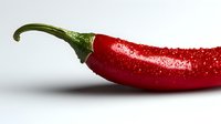 Fresh red chili pepper with water drops on white background, macro photography showing texture and details. Suitable for food and culinary designs.