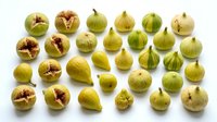Fresh green figs collection showing whole and halved fruits with pink flesh isolated on white background for culinary and healthy eating designs.