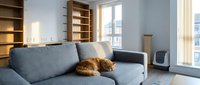 Cozy modern living room with a ginger cat resting on a gray sofa, wooden shelves, and large windows with natural light.